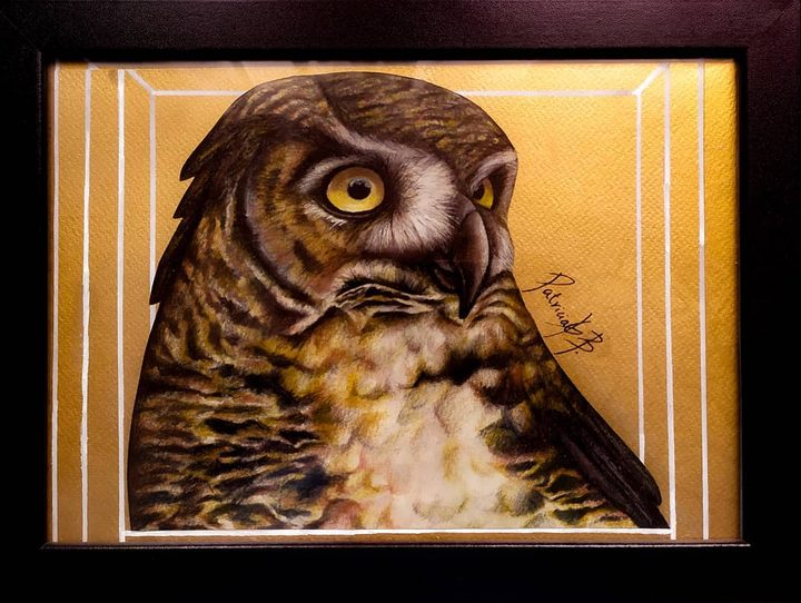 Bubo virginianus
