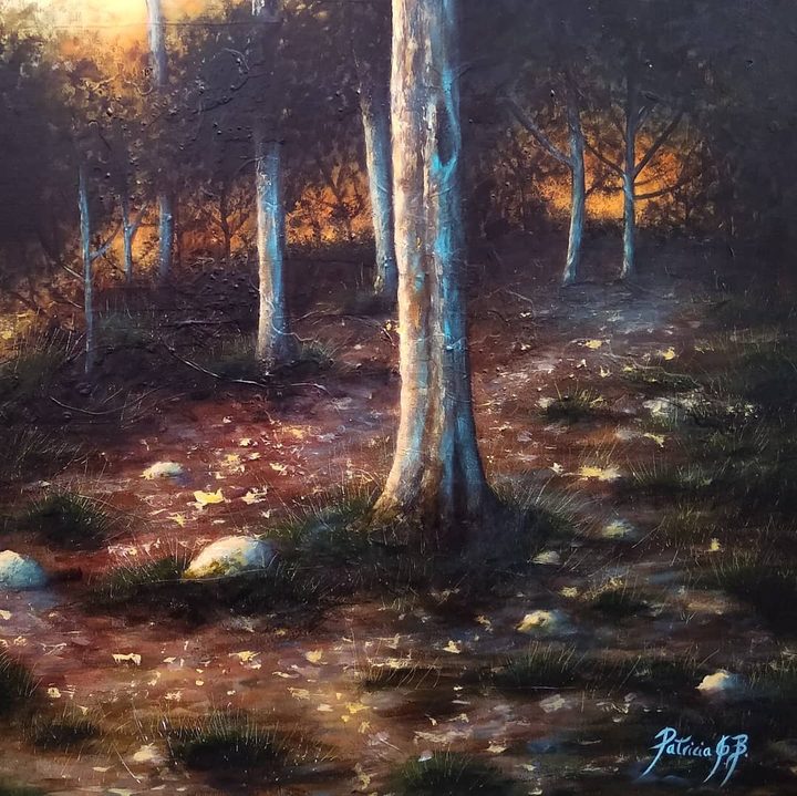 Collserola (Dusk in the forest)