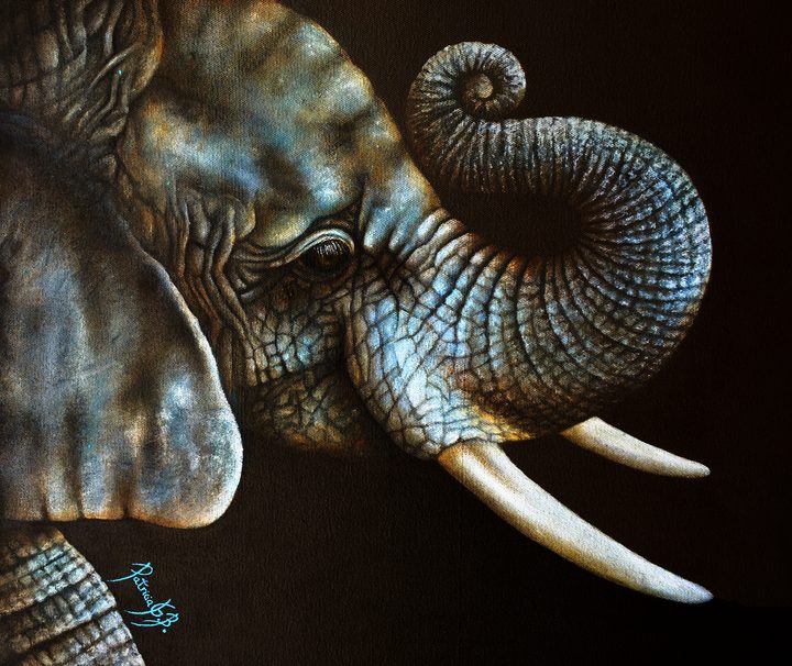 Elephant