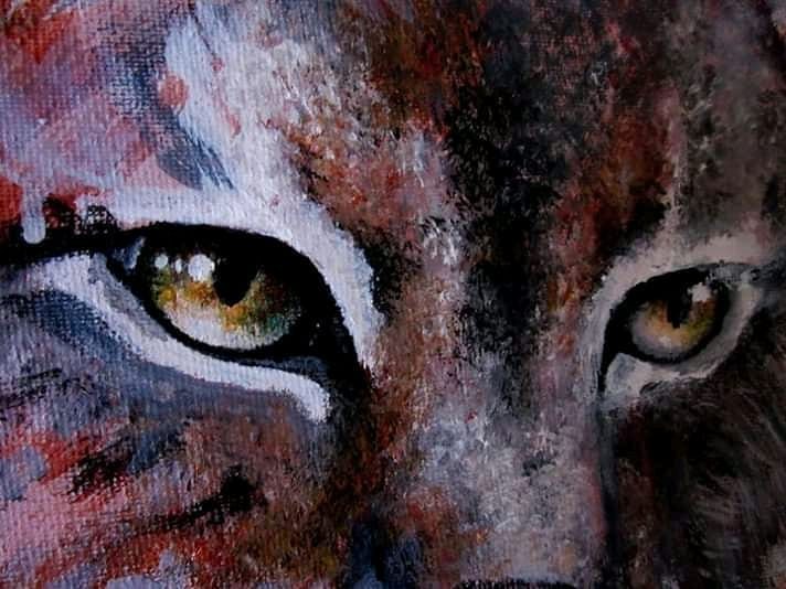 Feline