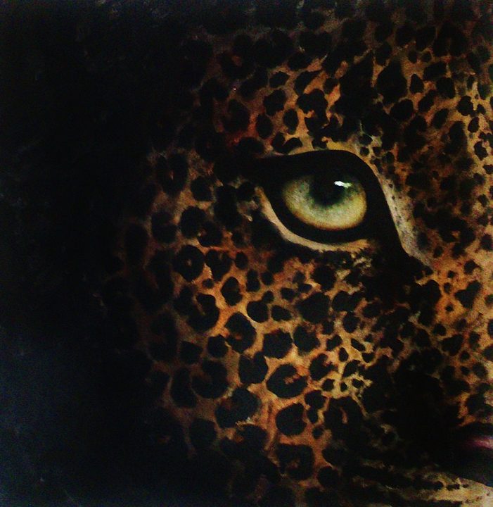 Leopard