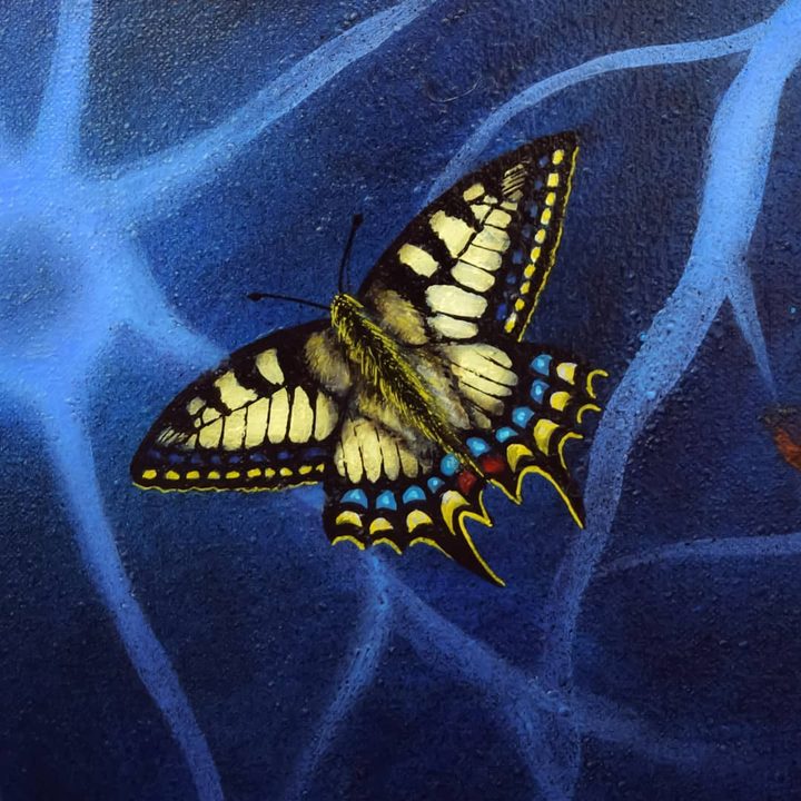 Swallowtail