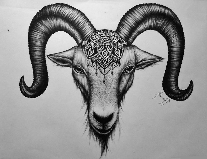 Goat