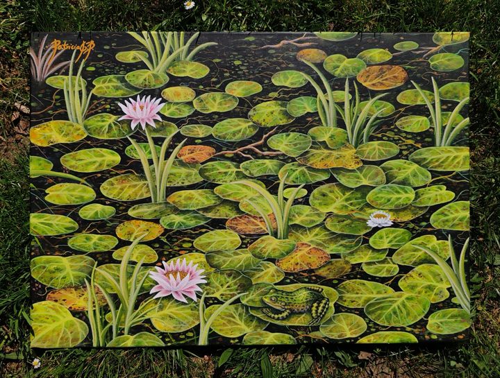 Water lilies