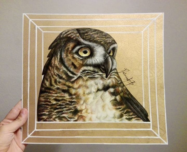 Owl