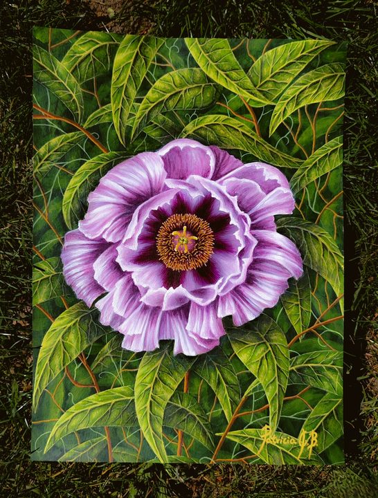 Lilac peony
