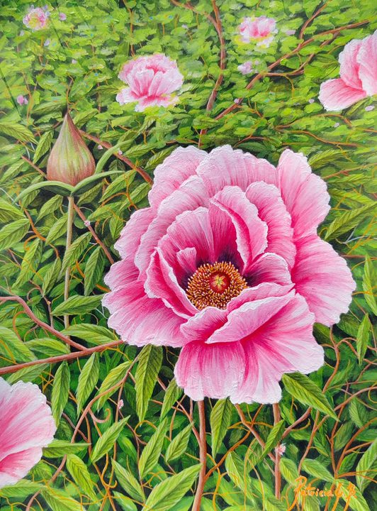 Peony