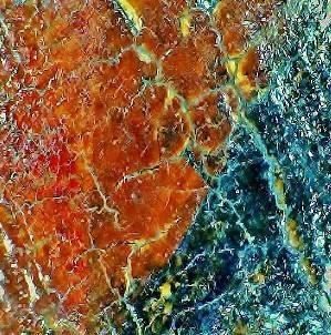 In-situ digital microscopy of a red area
