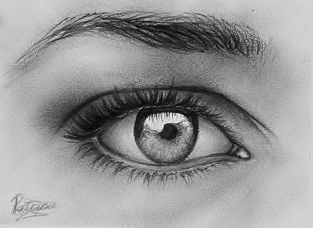 The eye