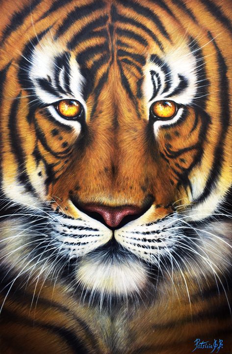 Tiger (The look of the Sun)