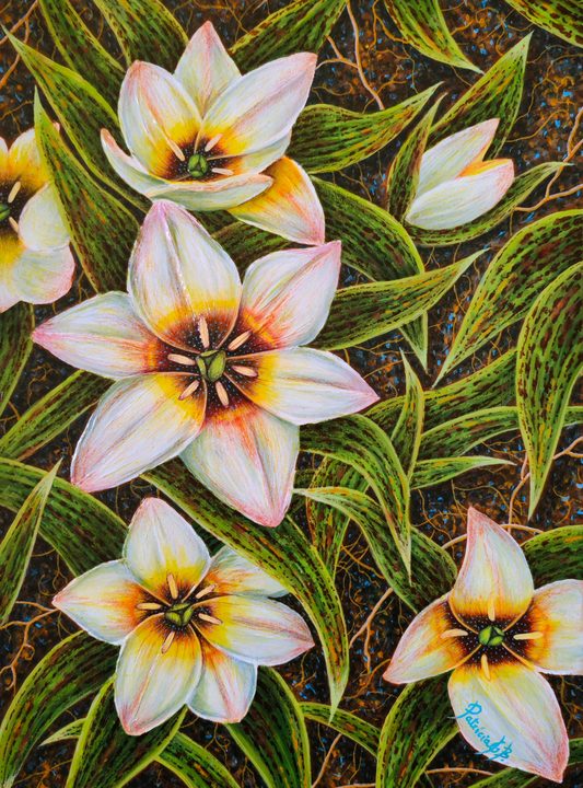 Tulips