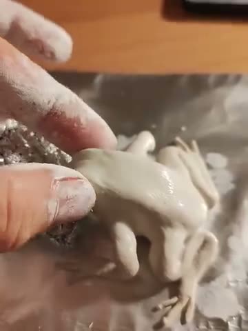 Modelling the frog